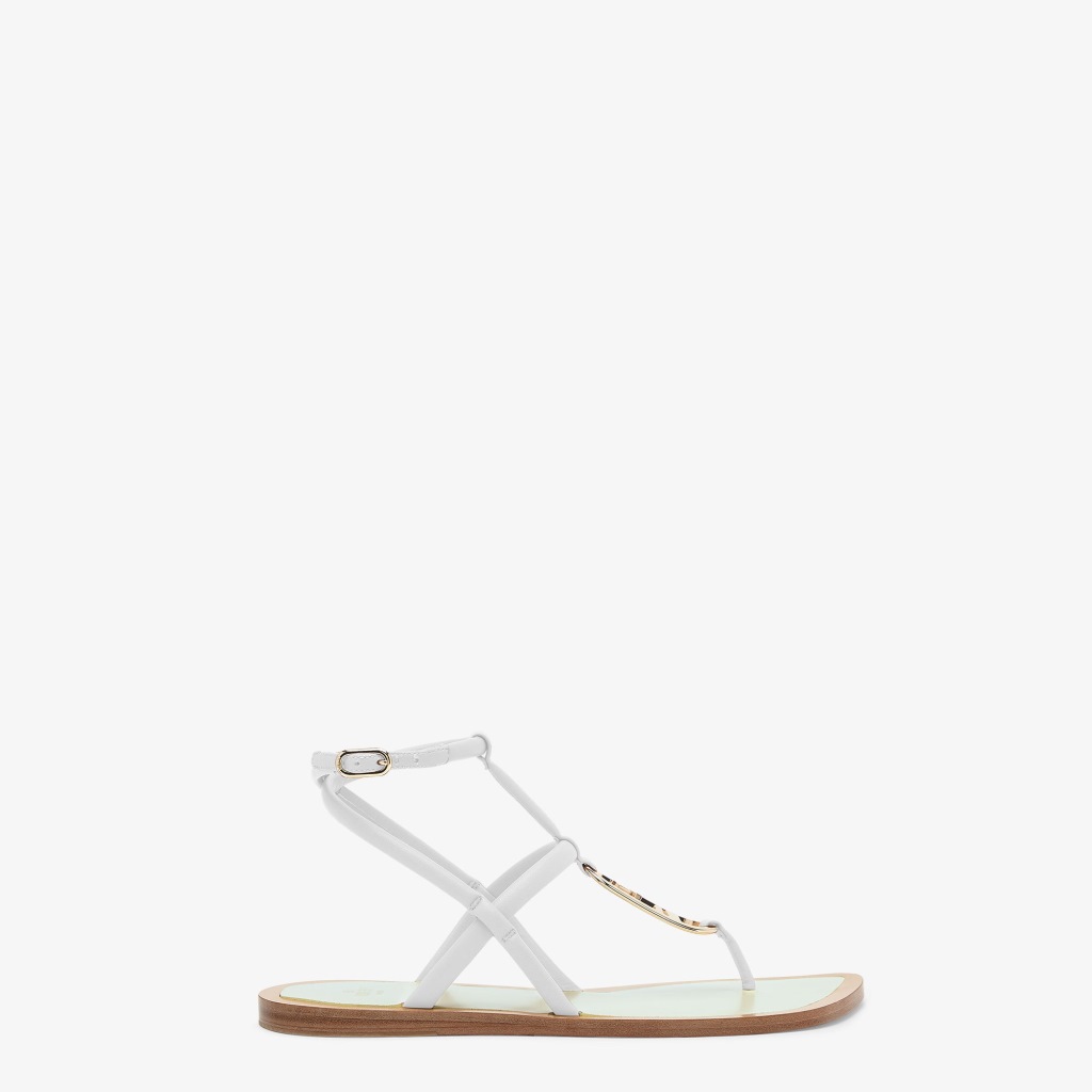 SKU02029-16568.jpg