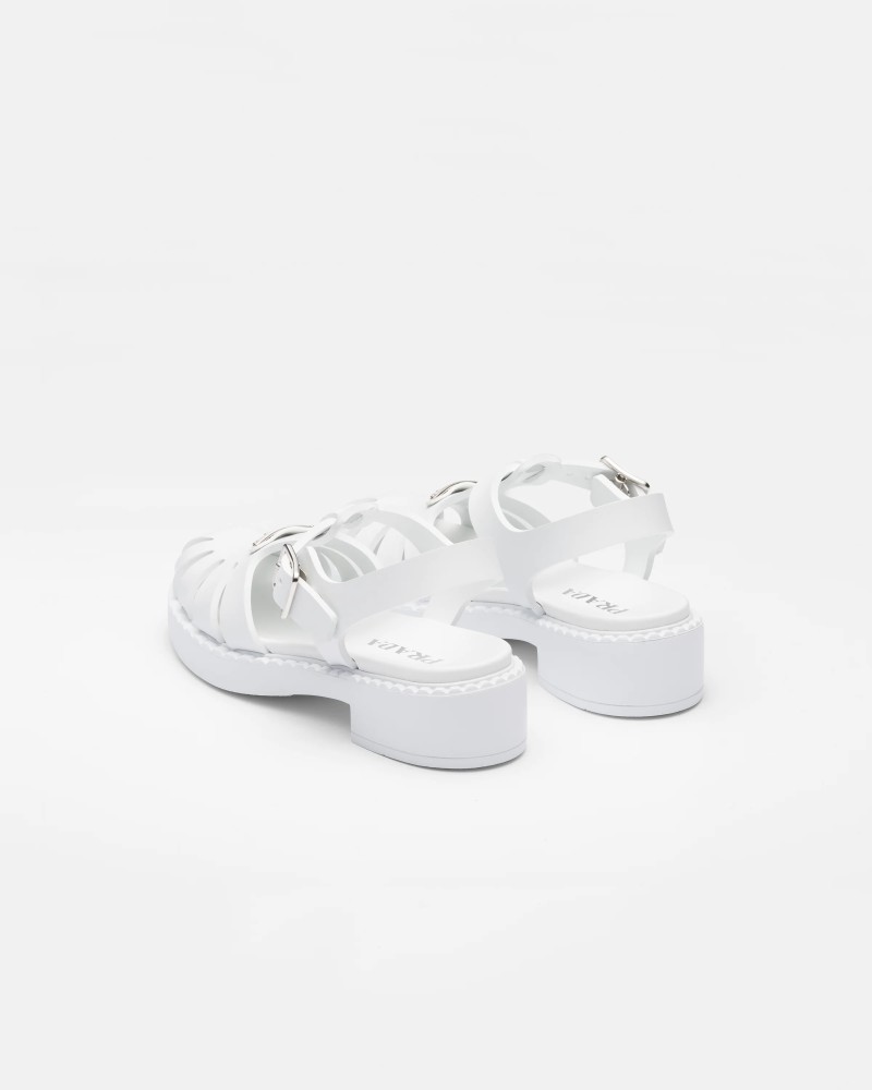SKU03681-1471.jpg