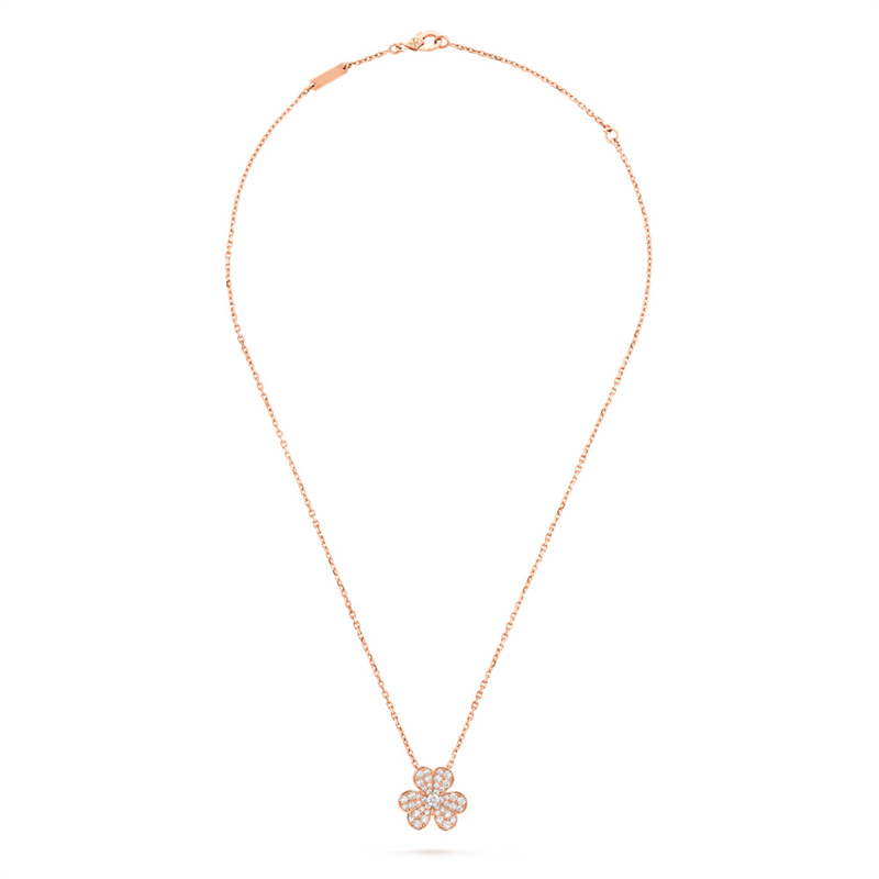 ls51ld1nlio-3984.jpg