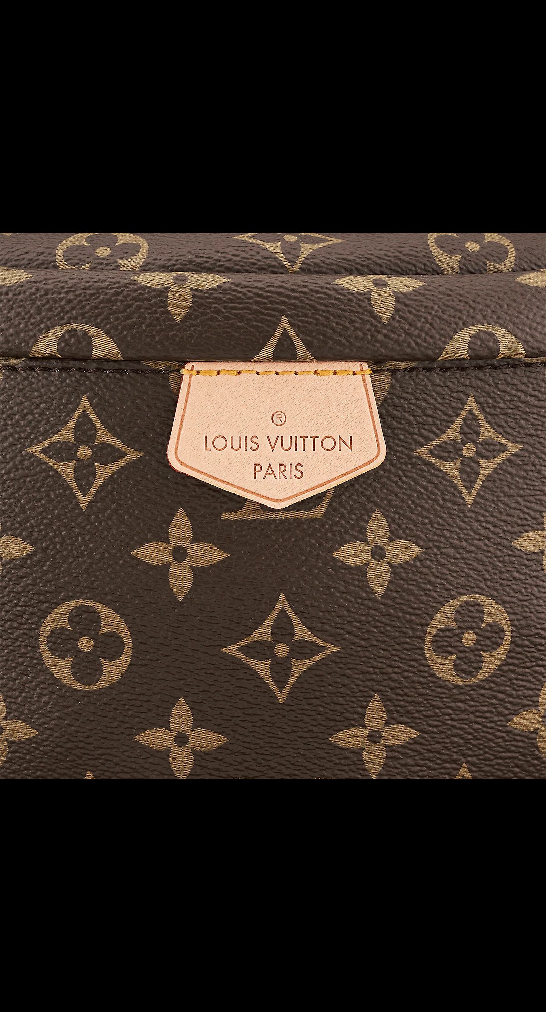 路易威登-bumbag-腰包-monogram-甄礼之选-M43644_PM1_Detail-view.jpg
