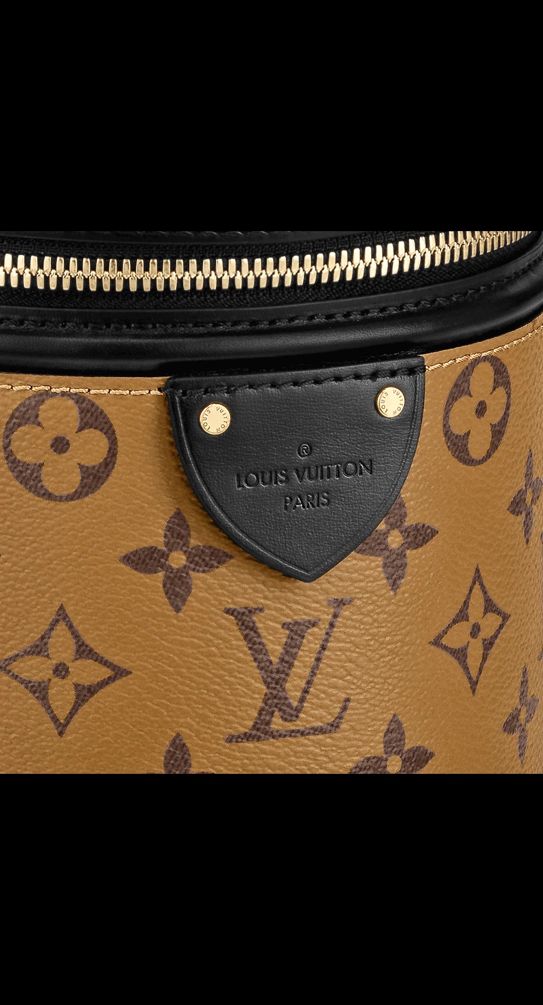 路易威登-cannes-手袋-monogram-reverse-canvas-时尚手袋-M43986_PM1_Detail-view.jpg