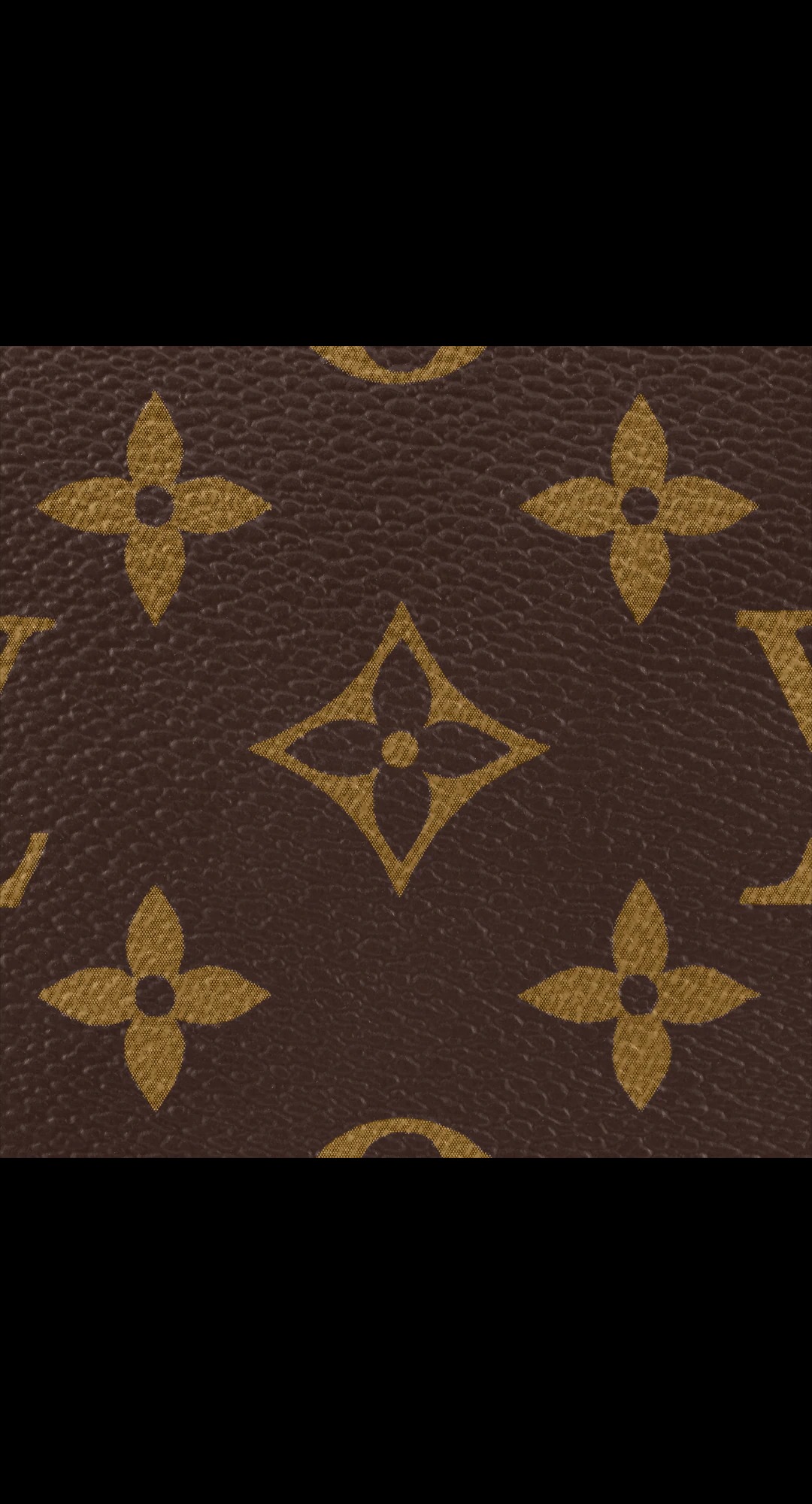 路易威登-christopher-迷你手袋-monogram-macassar-时尚包袋-M80793_PM1_Detail-view-1.jpg