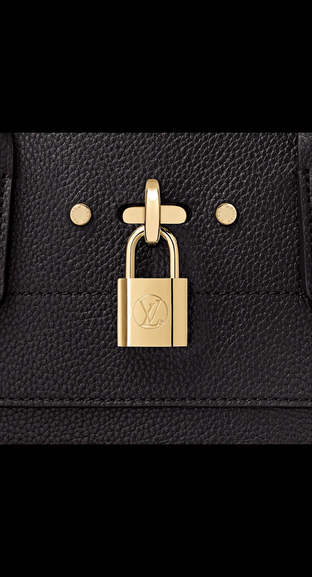 路易威登-city-steamer-中号手袋-other-leathers-时尚手袋-M53015_PM1_Detail-view.jpg