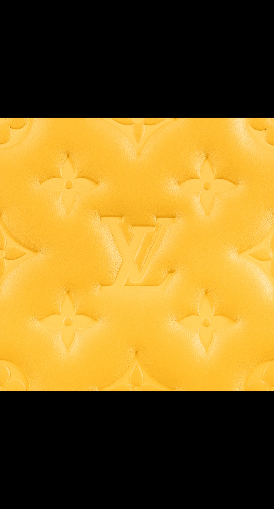 路易威登-coussin-小号手袋-h27-时尚手袋-M20378_PM1_Detail-view-2.jpg