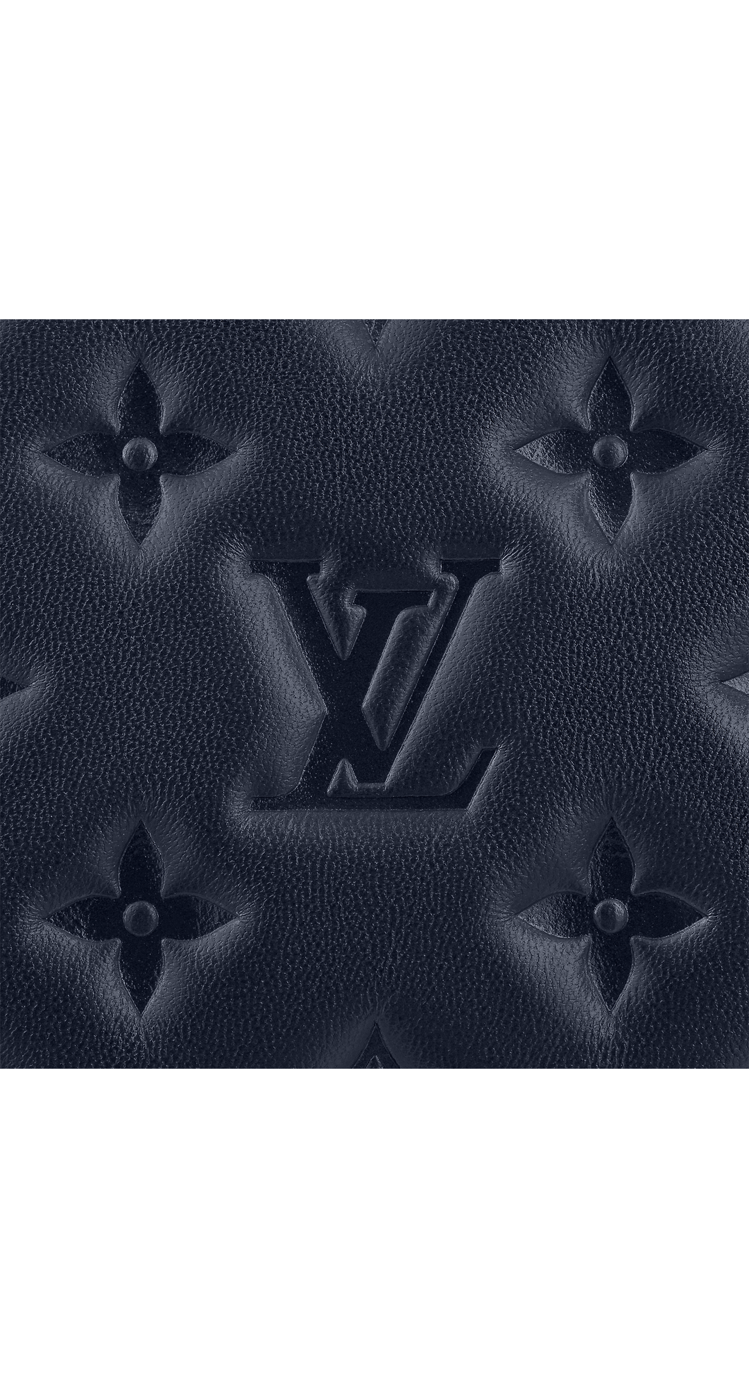 路易威登-coussin-小号手袋-h27-时尚手袋-M20379_PM1_Detail-view.png