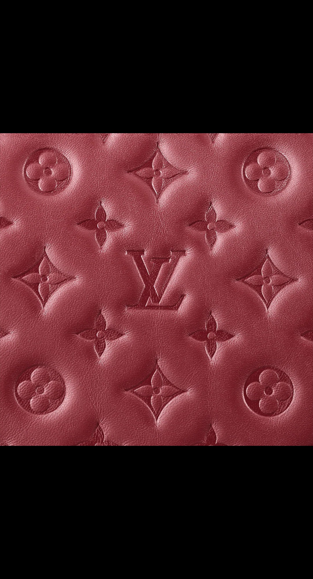 路易威登-coussin-小号手袋-h27-时尚手袋-M59275_PM1_Detail-view.jpg