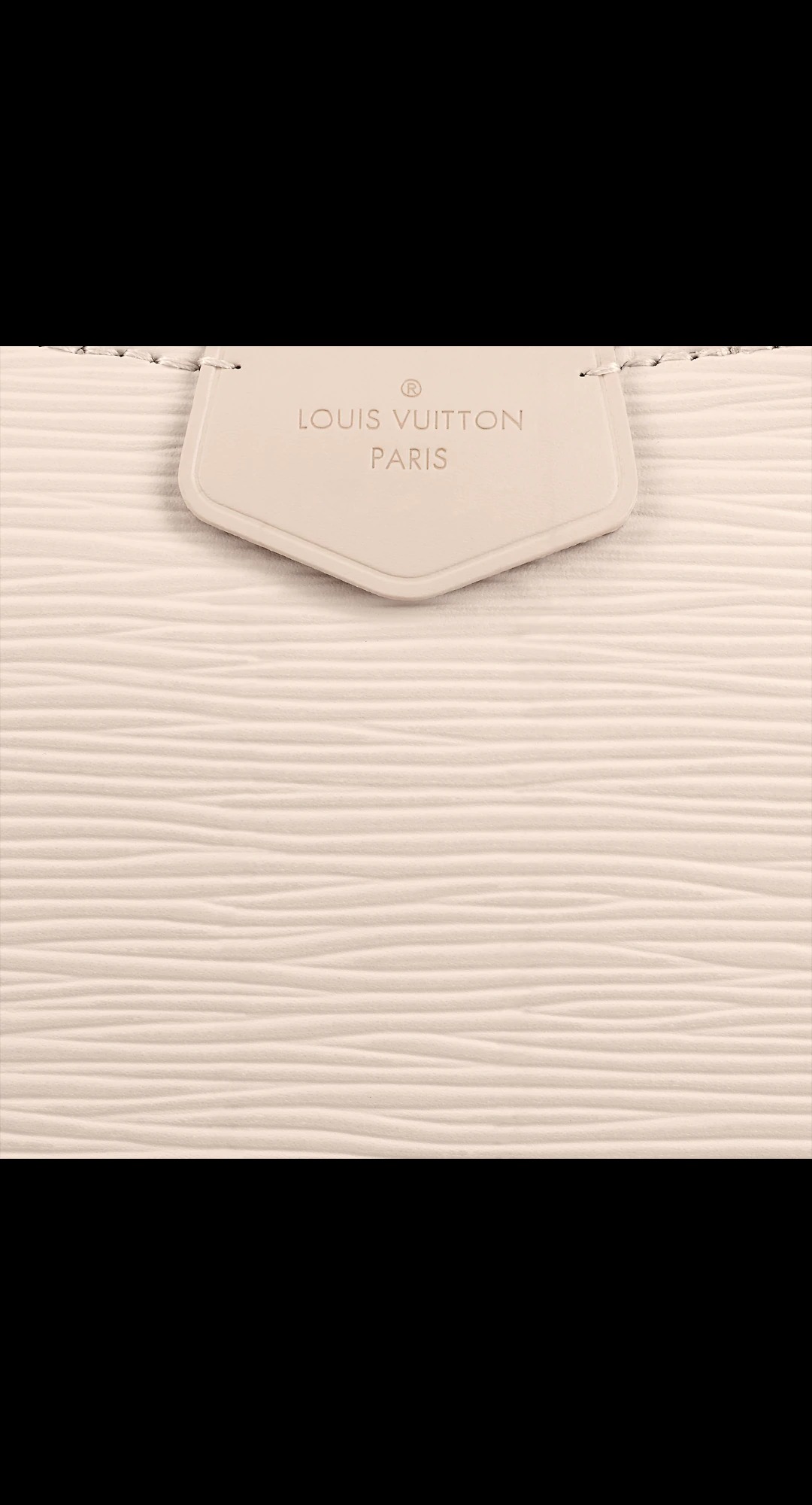 路易威登-easy-pouch-on-strap-手袋-epi-小型皮具-M81239_PM1_Detail-view.jpg
