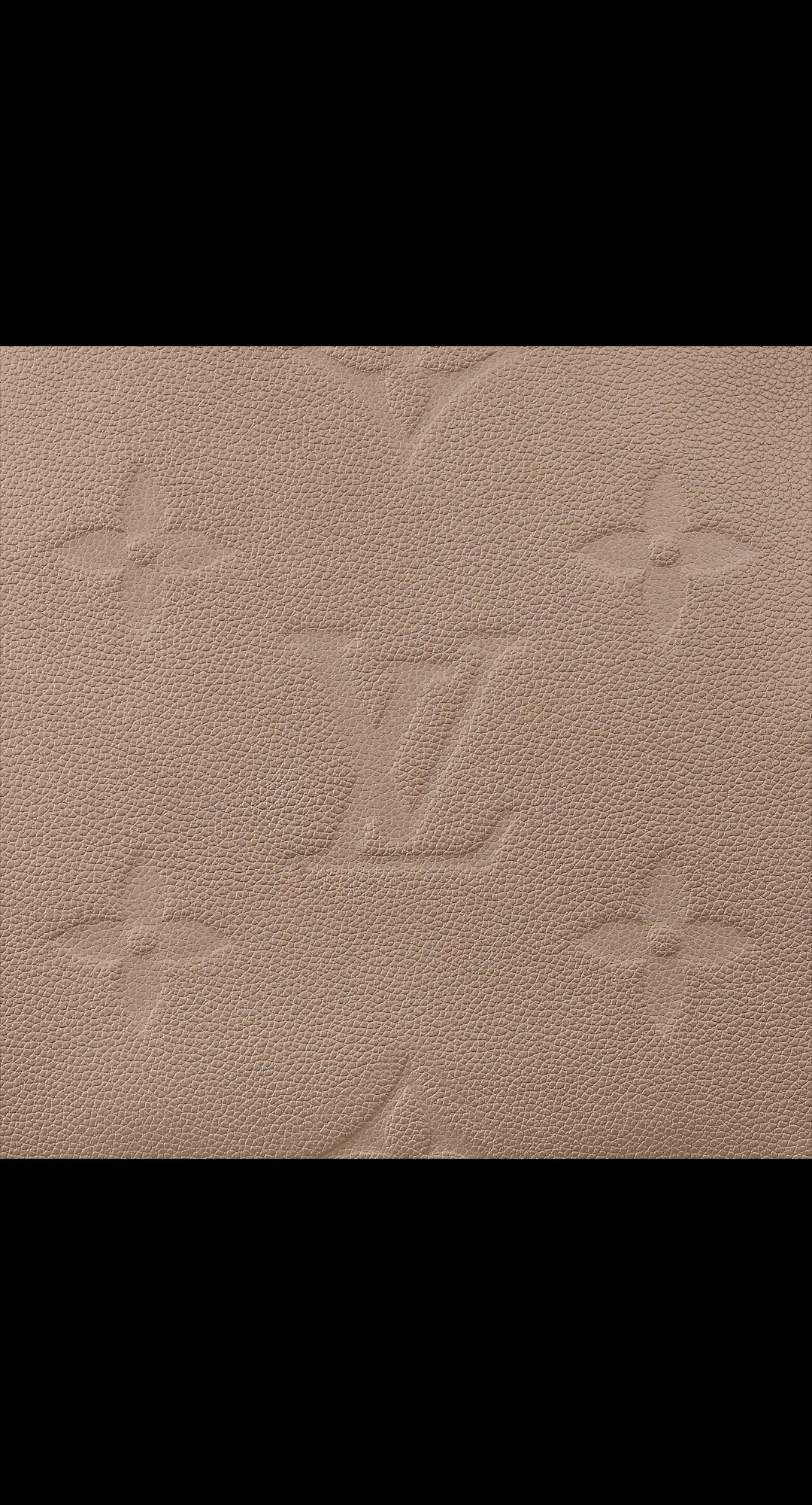 路易威登-grand-palais-手袋-monogram-empreinte-时尚手袋-M45833_PM1_Detail-view-1.jpg