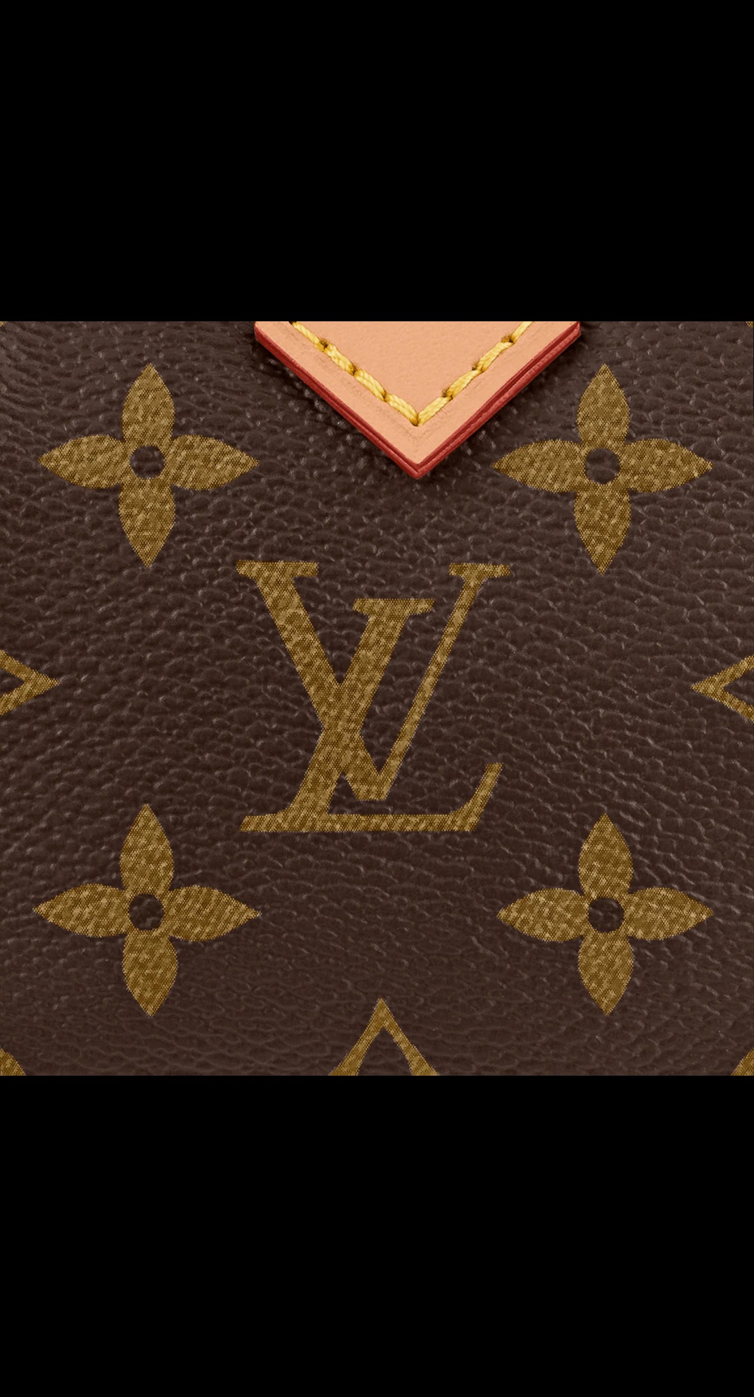 路易威登-nano-speedy-手袋-monogram-小型皮具-M81085_PM1_Detail-view-1.jpg
