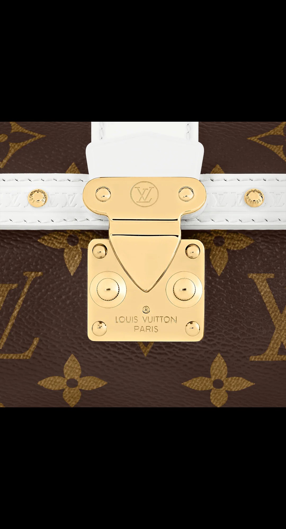 路易威登-papillon-trunk-手袋-monogram-时尚手袋-M81485_PM1_Detail-view.jpg