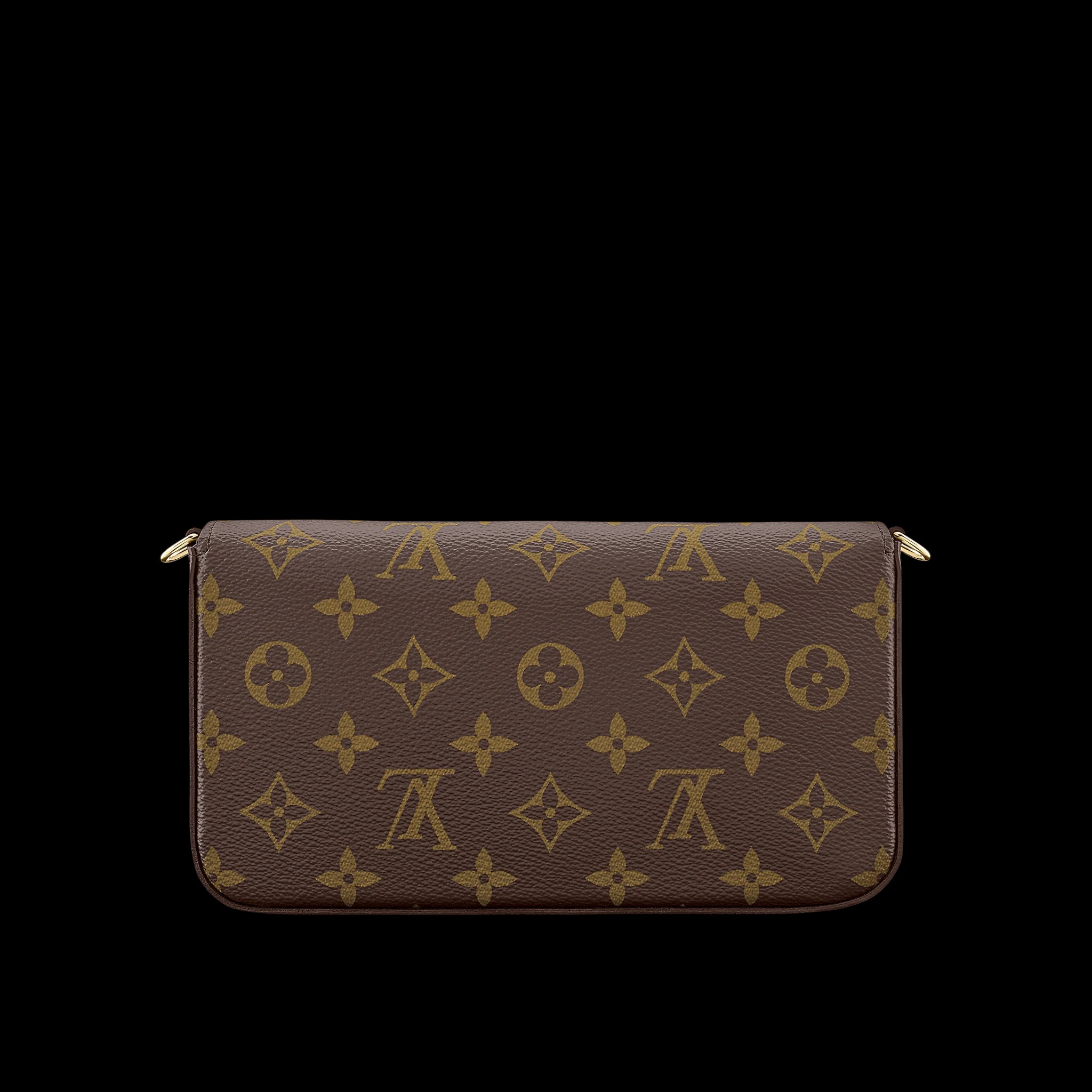 路易威登-pochette-felicie-链条包-monogram-小型皮具-M61276_PM1_Back-view.jpg
