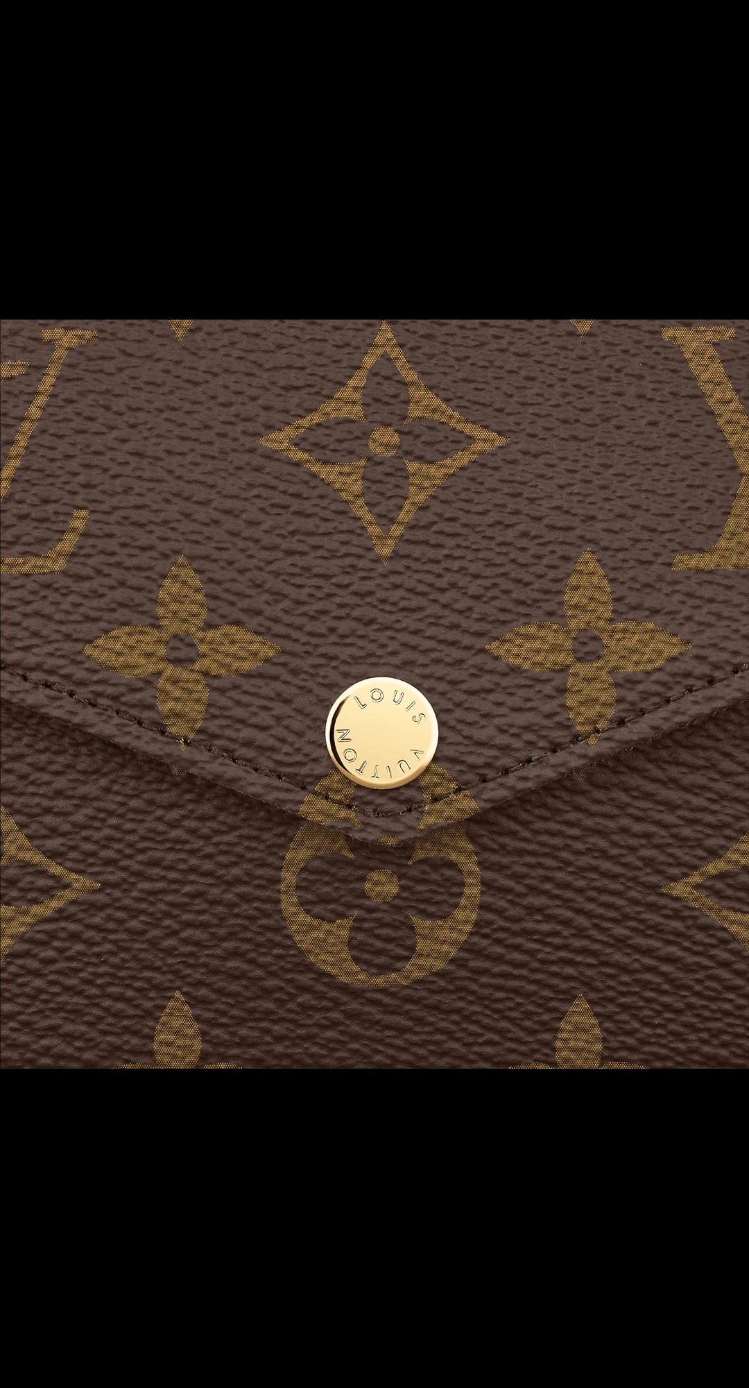 路易威登-pochette-felicie-链条包-monogram-小型皮具-M61276_PM1_Detail-view-1.jpg