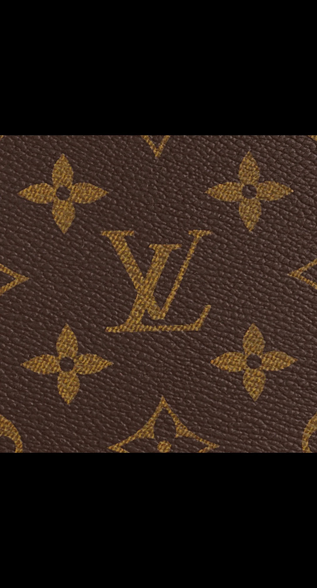 路易威登-soufflot-中号手袋-monogram-canvas-天然小牛皮-时尚手袋-M44816_PM1_Detail-view-1.jpg