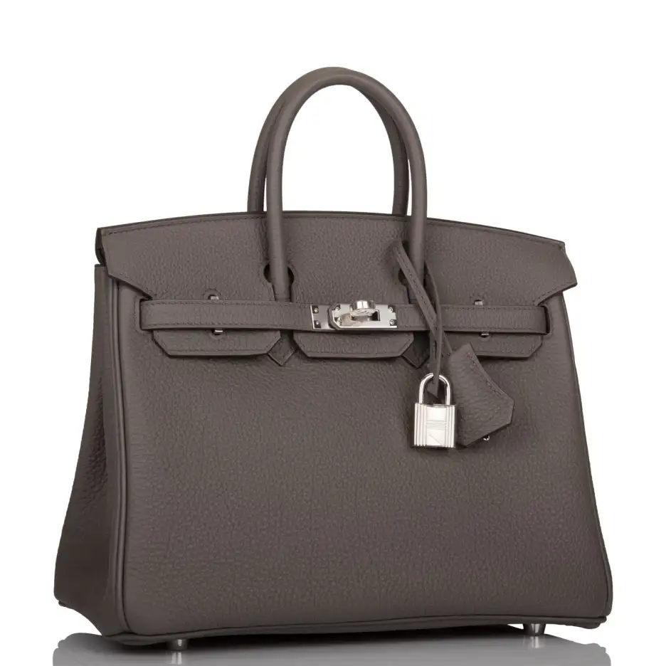 Hermès Birkin 25 Etain Togo Palladium Hardware (1)