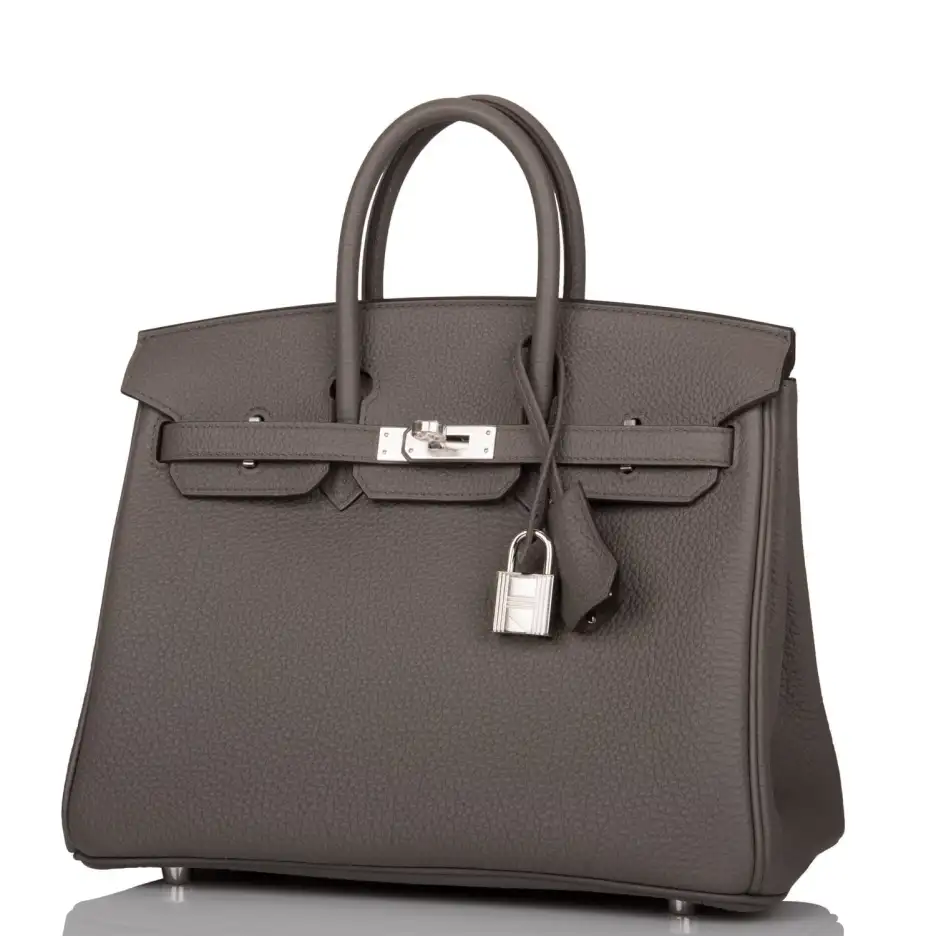 Hermès Birkin 25 Etain Togo Palladium Hardware (4)