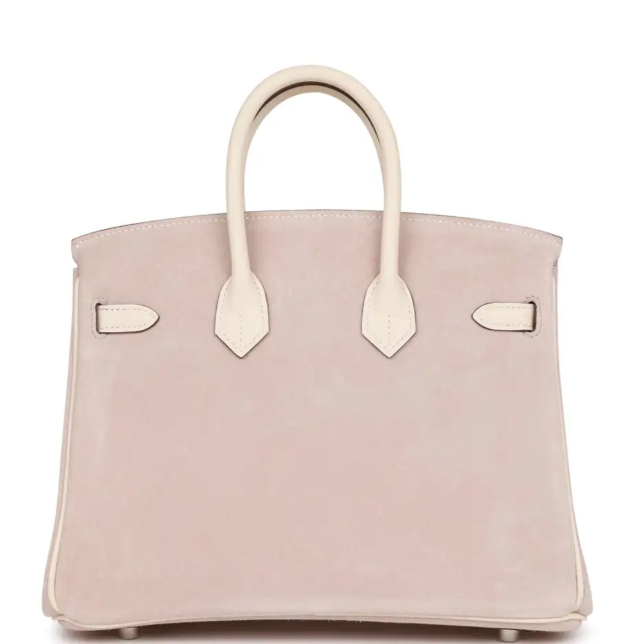 Hermès Birkin 25 Glycine Grizzly and Nata Swift_yyt (3)
