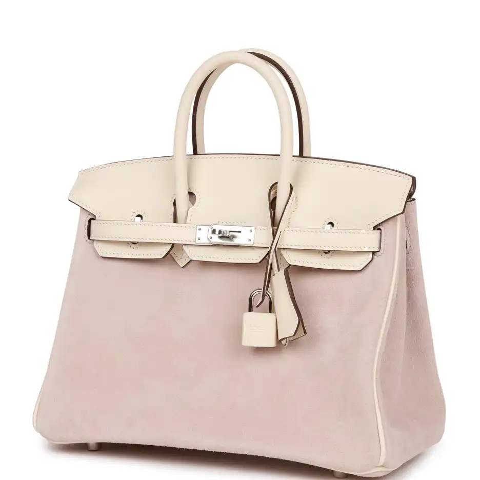 Hermès Birkin 25 Glycine Grizzly and Nata Swift_yyt (4)