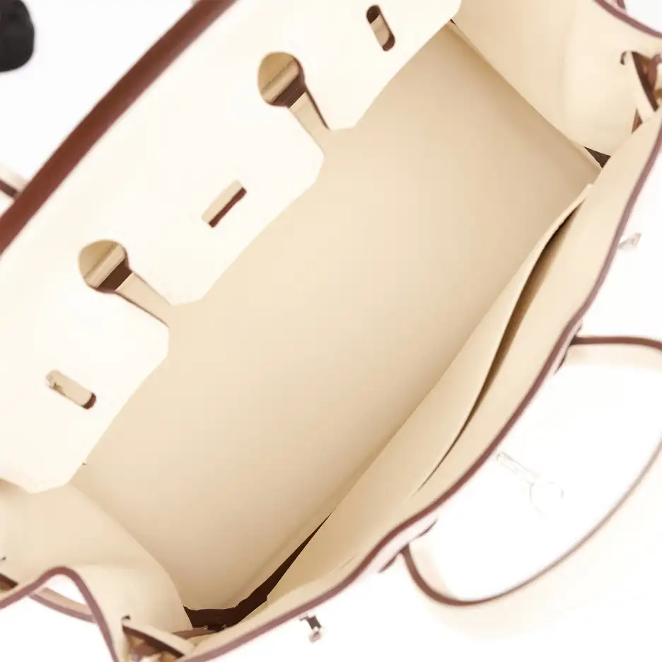 Hermès Birkin 25 Glycine Grizzly and Nata Swift_yyt (7)