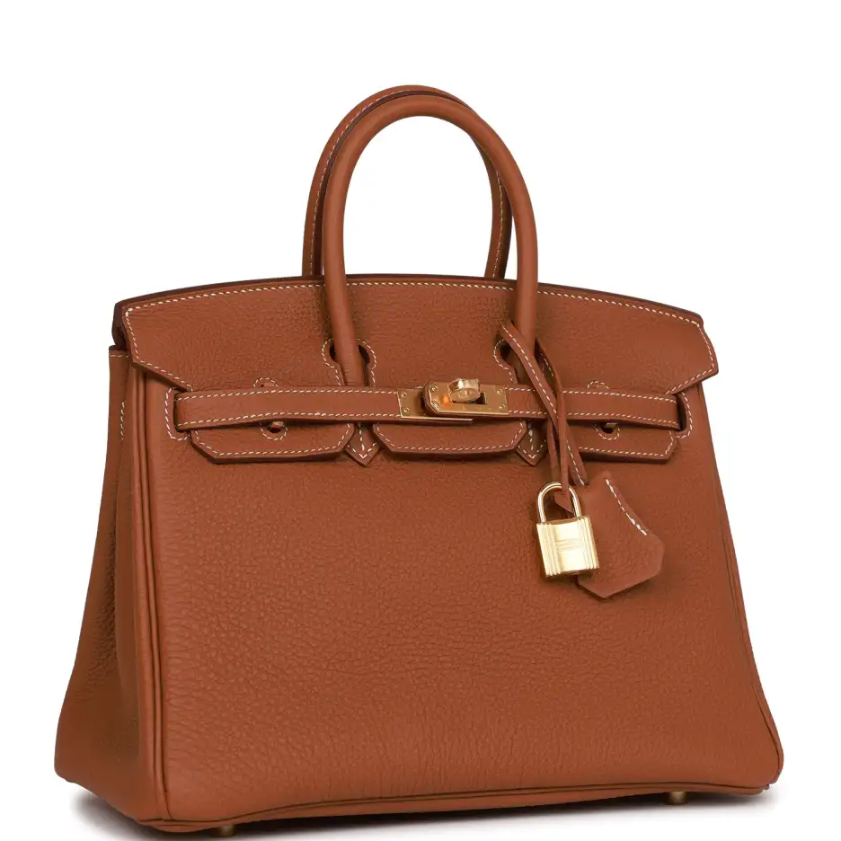 Hermès Birkin 25 Gold Togo Gold Hardware (1)