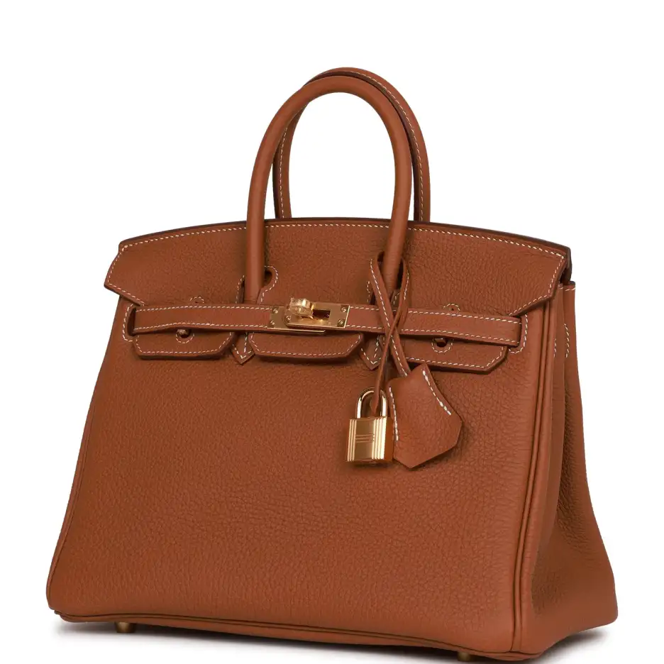 Hermès Birkin 25 Gold Togo Gold Hardware (4)