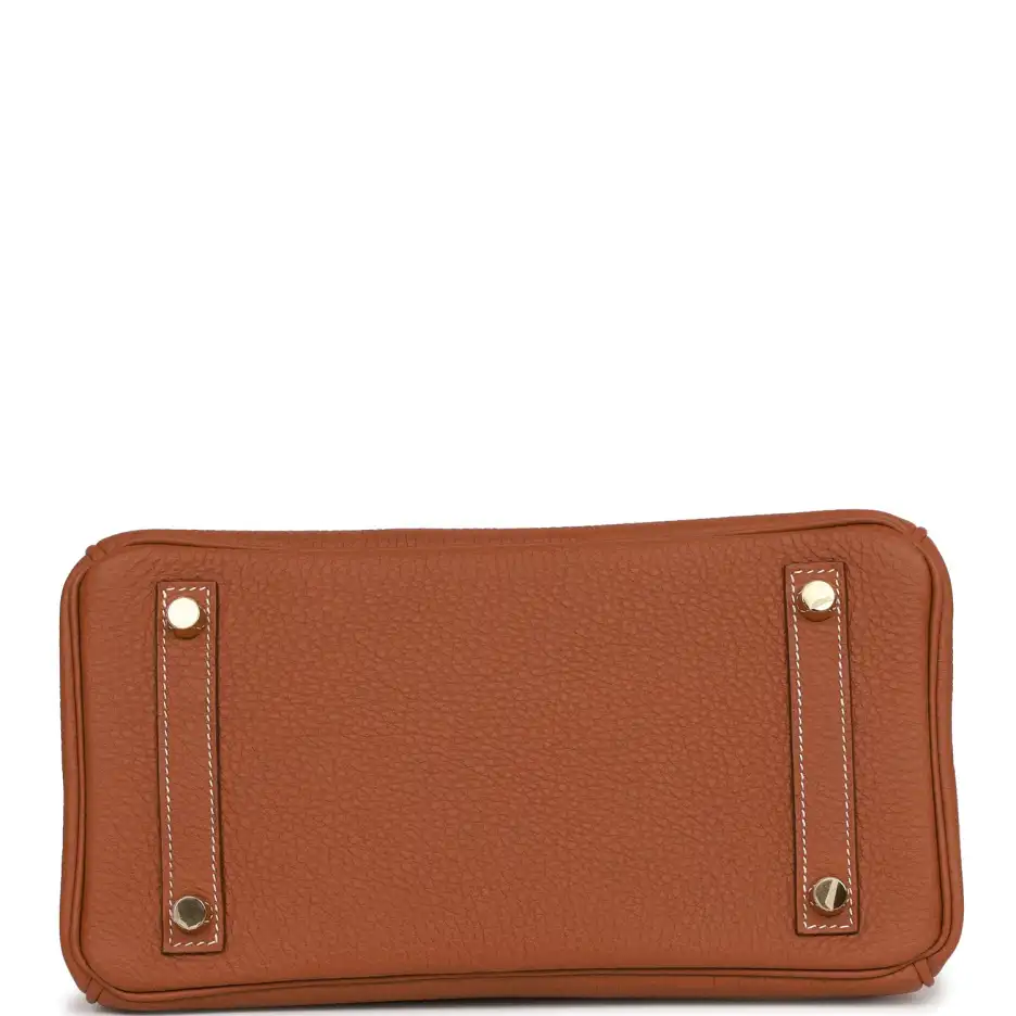 Hermès Birkin 25 Gold Togo Gold Hardware (5)