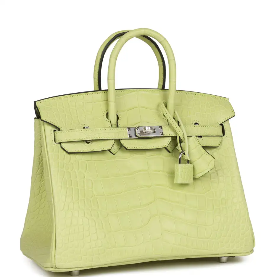 Hermès Birkin 25 Jaune Bourgeon Matte Alligator Pal (1)