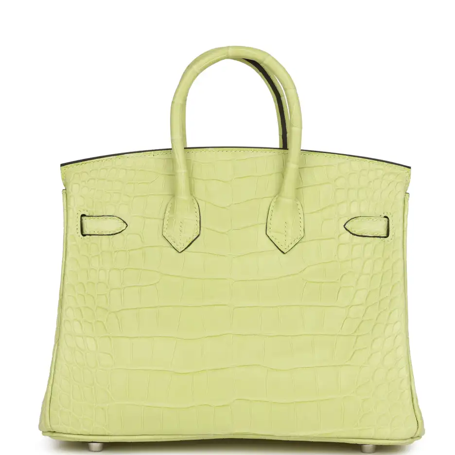 Hermès Birkin 25 Jaune Bourgeon Matte Alligator Pal (3)