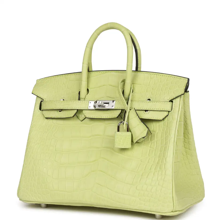 Hermès Birkin 25 Jaune Bourgeon Matte Alligator Pal (4)