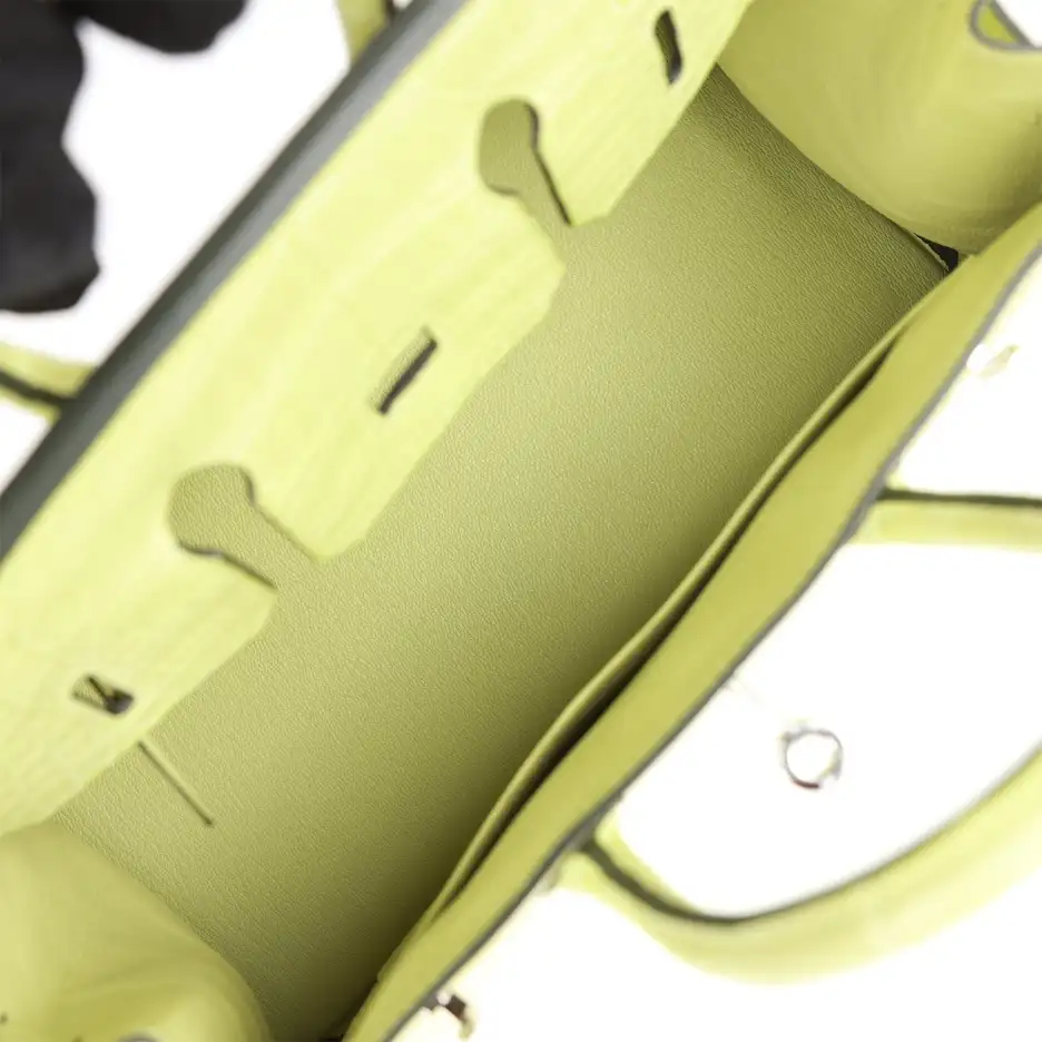 Hermès Birkin 25 Jaune Bourgeon Matte Alligator Pal (7)