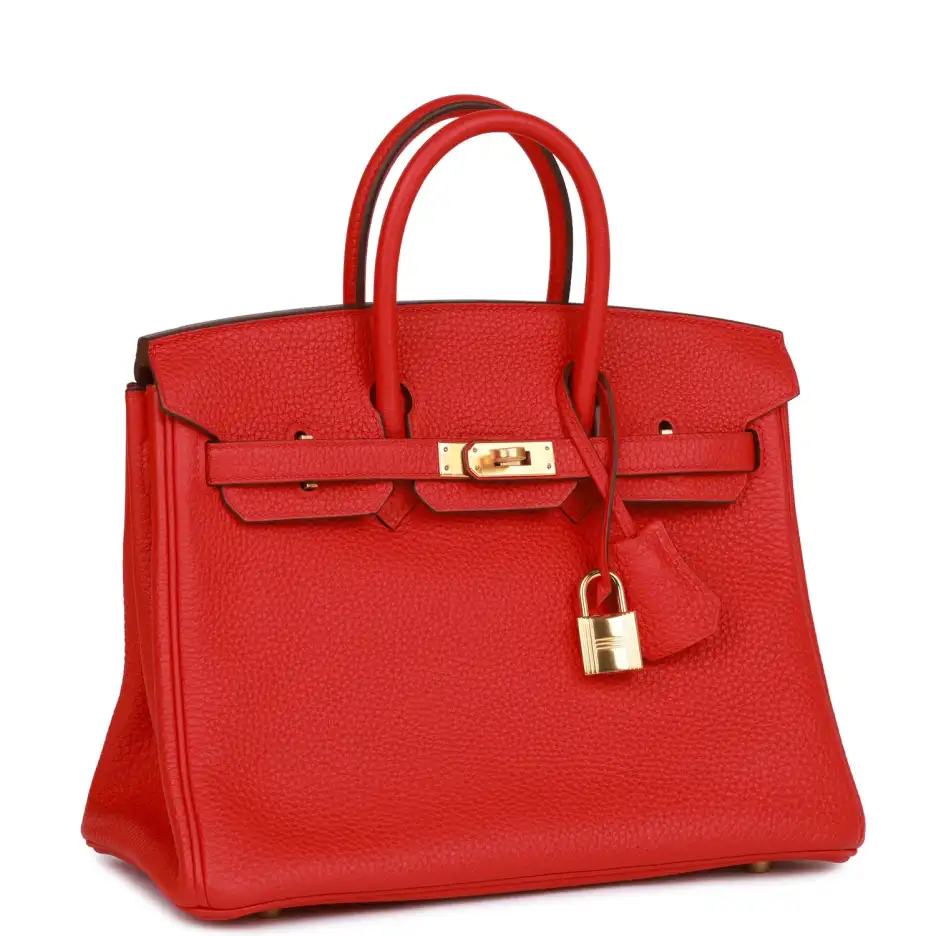 Hermès Birkin 25 Rouge de Coeur Togo Gold Ha (2)