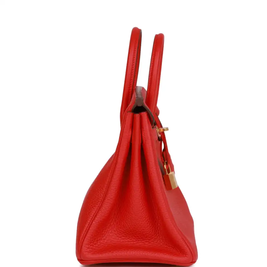 Hermès Birkin 25 Rouge de Coeur Togo Gold Ha (3)