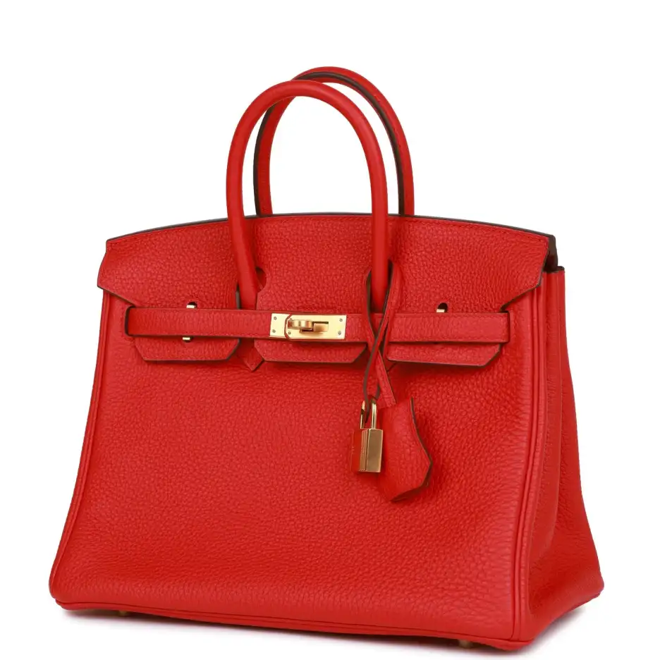 Hermès Birkin 25 Rouge de Coeur Togo Gold Ha (5)