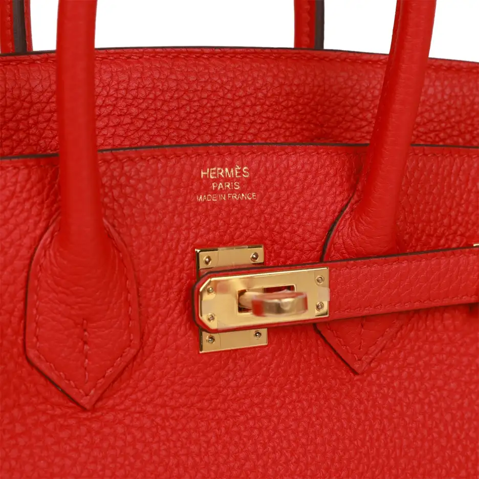 Hermès Birkin 25 Rouge de Coeur Togo Gold Ha (7)