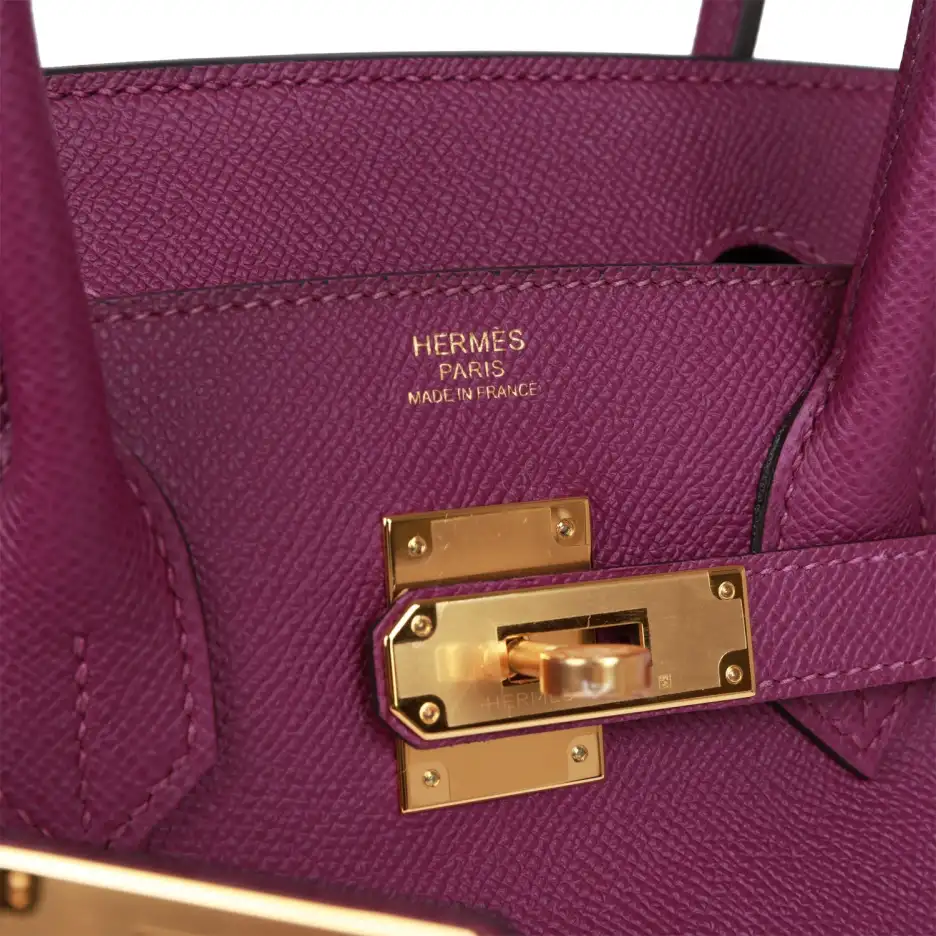 Hermès Birkin 30 Anemone Epsom Gold Hardware (6)