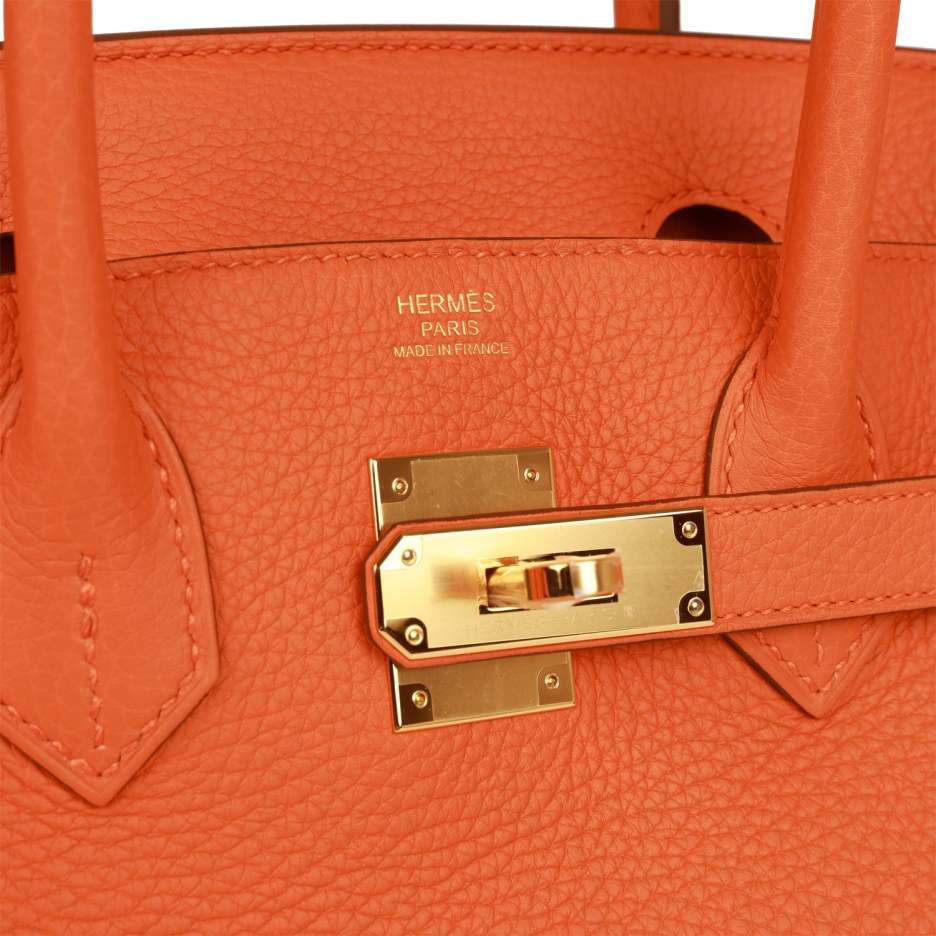 Hermès Birkin 30 Orange Clemence Gold Hardware (6)