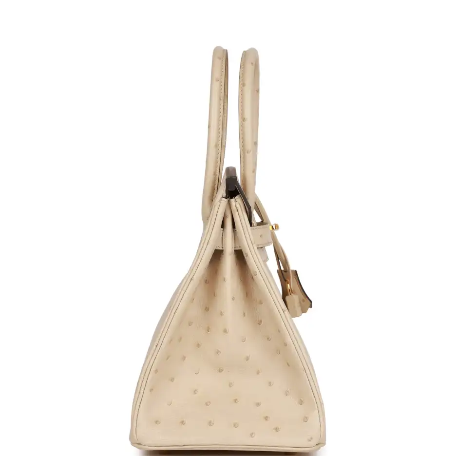 Hermès Birkin 30 Parchemin Ostrich Gold Hardware (2)