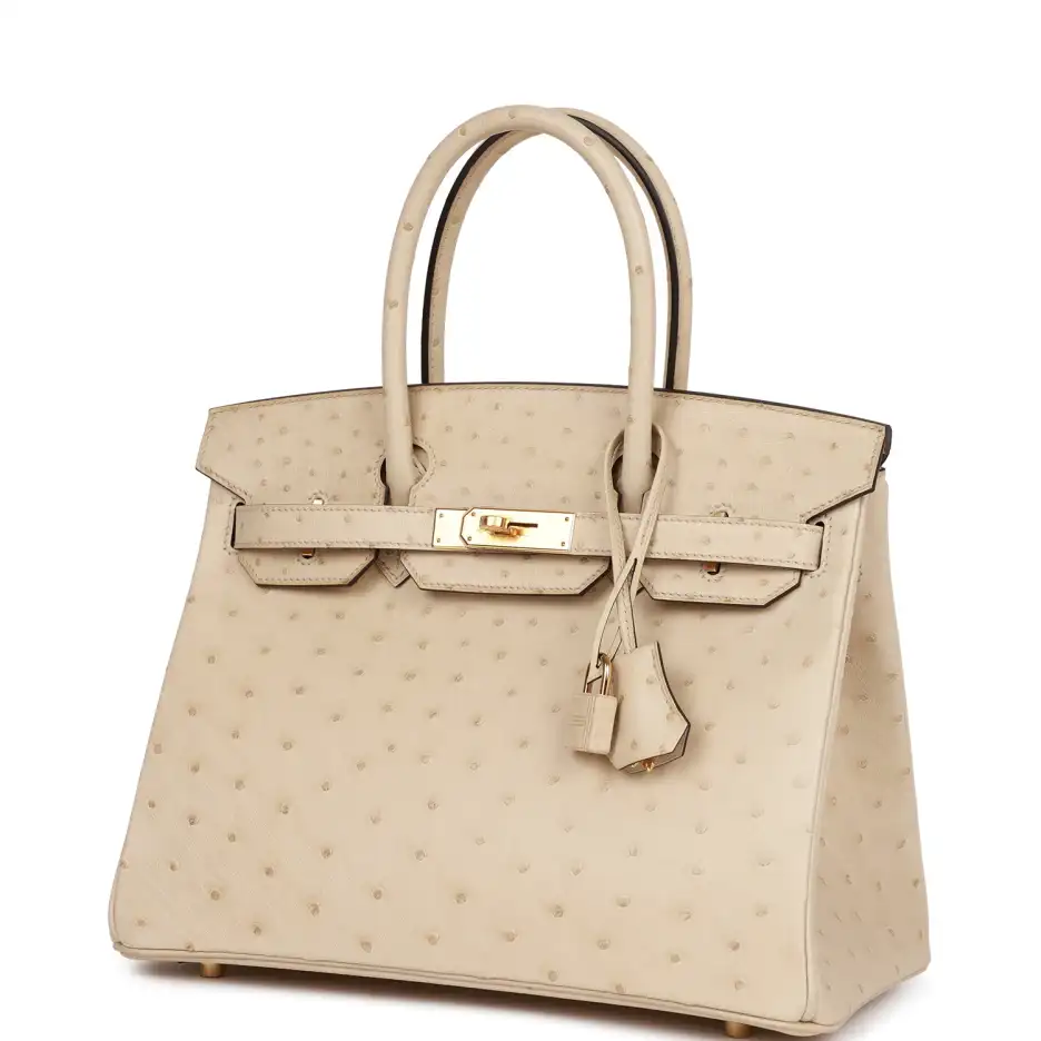 Hermès Birkin 30 Parchemin Ostrich Gold Hardware (4)