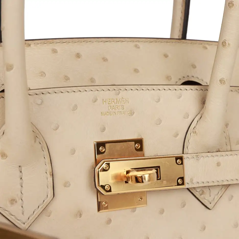 Hermès Birkin 30 Parchemin Ostrich Gold Hardware (6)