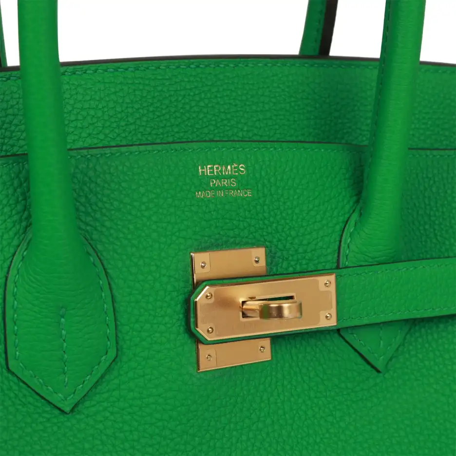 Hermès Birkin 35 Bamboo Togo Gold Hardware (6)