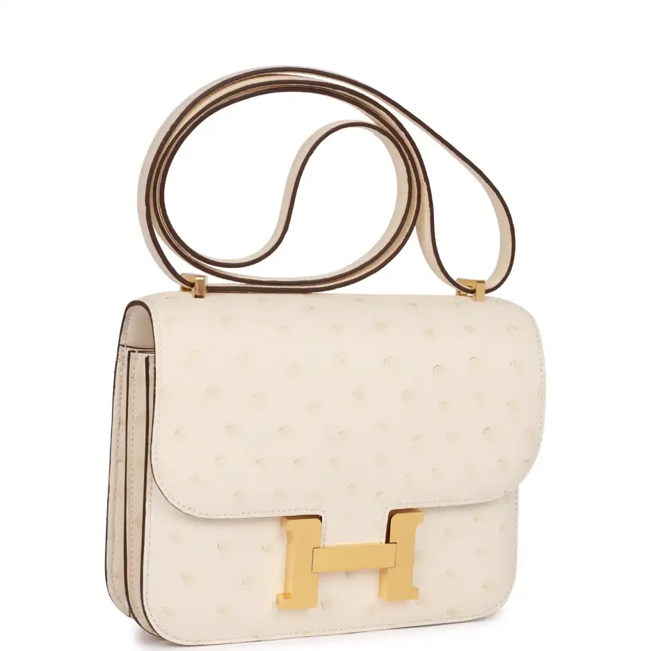 Hermès Constance 18 Nata Ostrich Gold Hardware (1)