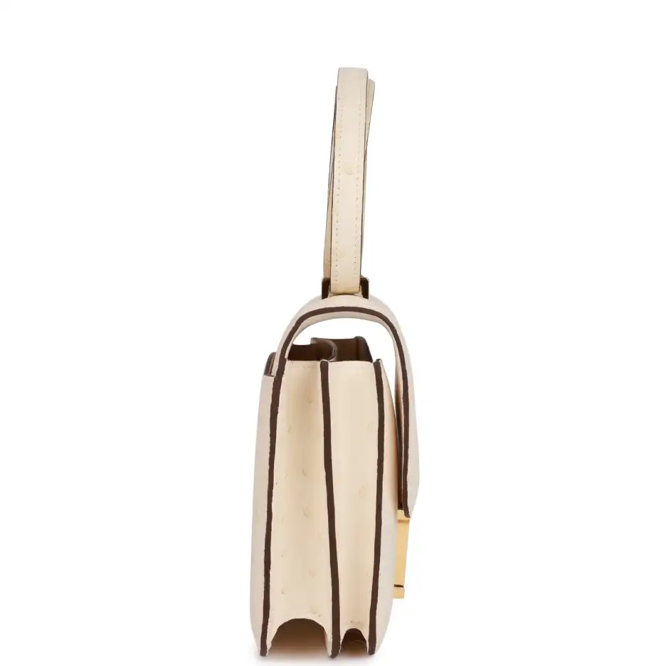 Hermès Constance 18 Nata Ostrich Gold Hardware (2)
