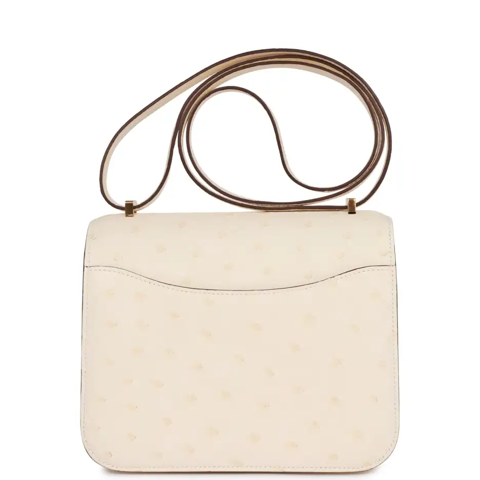 Hermès Constance 18 Nata Ostrich Gold Hardware (3)