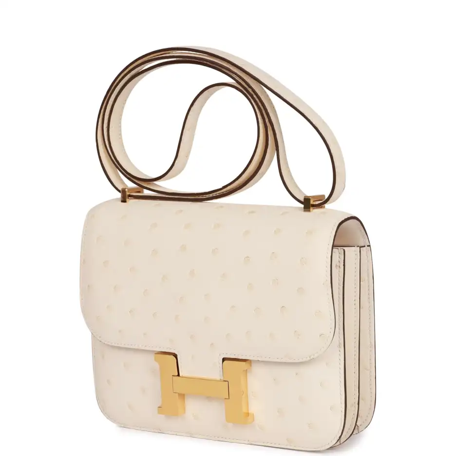 Hermès Constance 18 Nata Ostrich Gold Hardware (4)