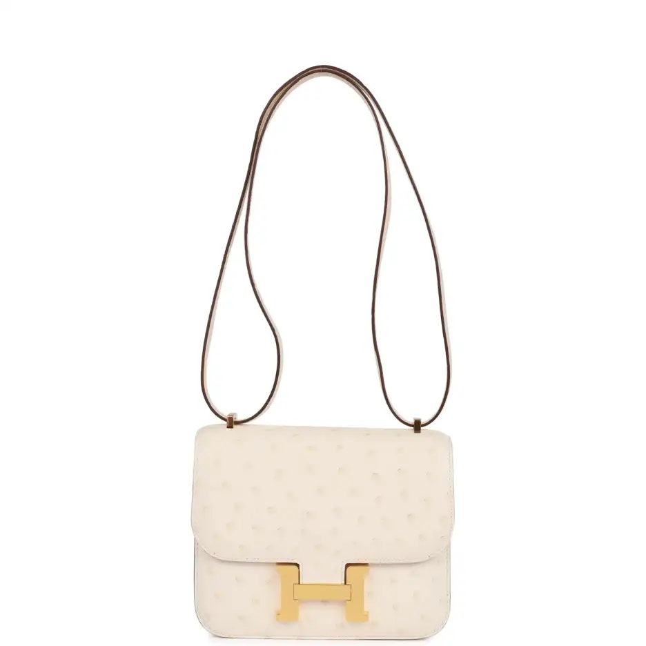Hermès Constance 18 Nata Ostrich Gold Hardware (6)