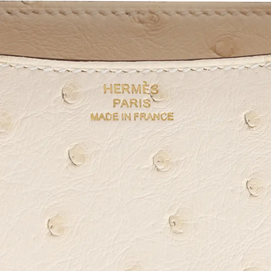 Hermès Constance 18 Nata Ostrich Gold Hardware (7)