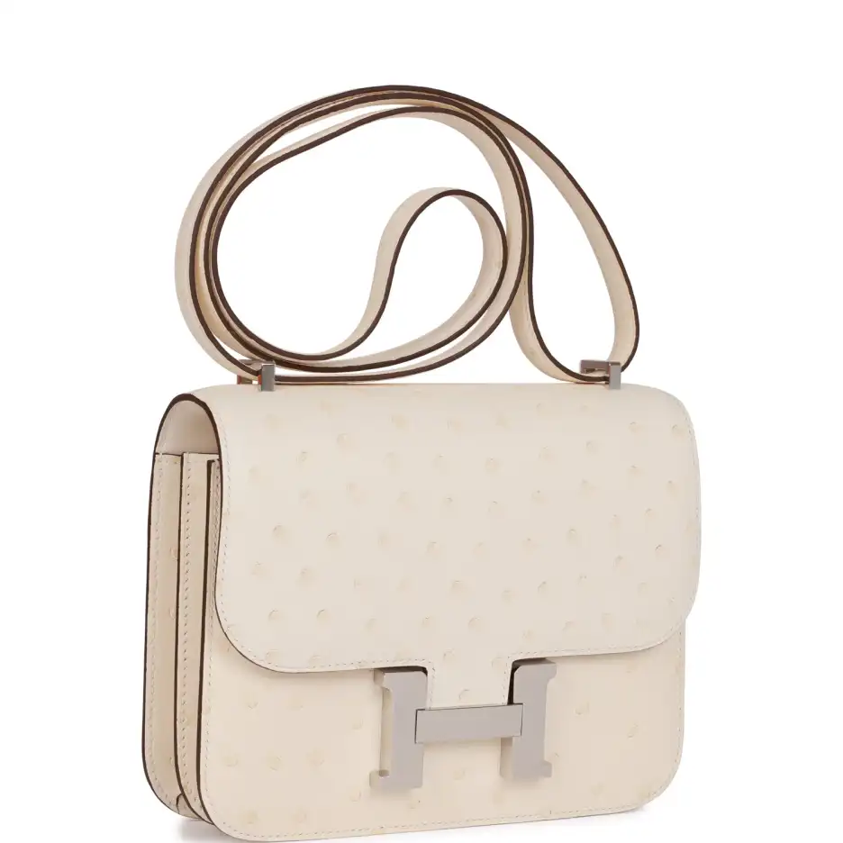 Hermès Constance 18 Nata Ostrich Palladium Hardware (1)