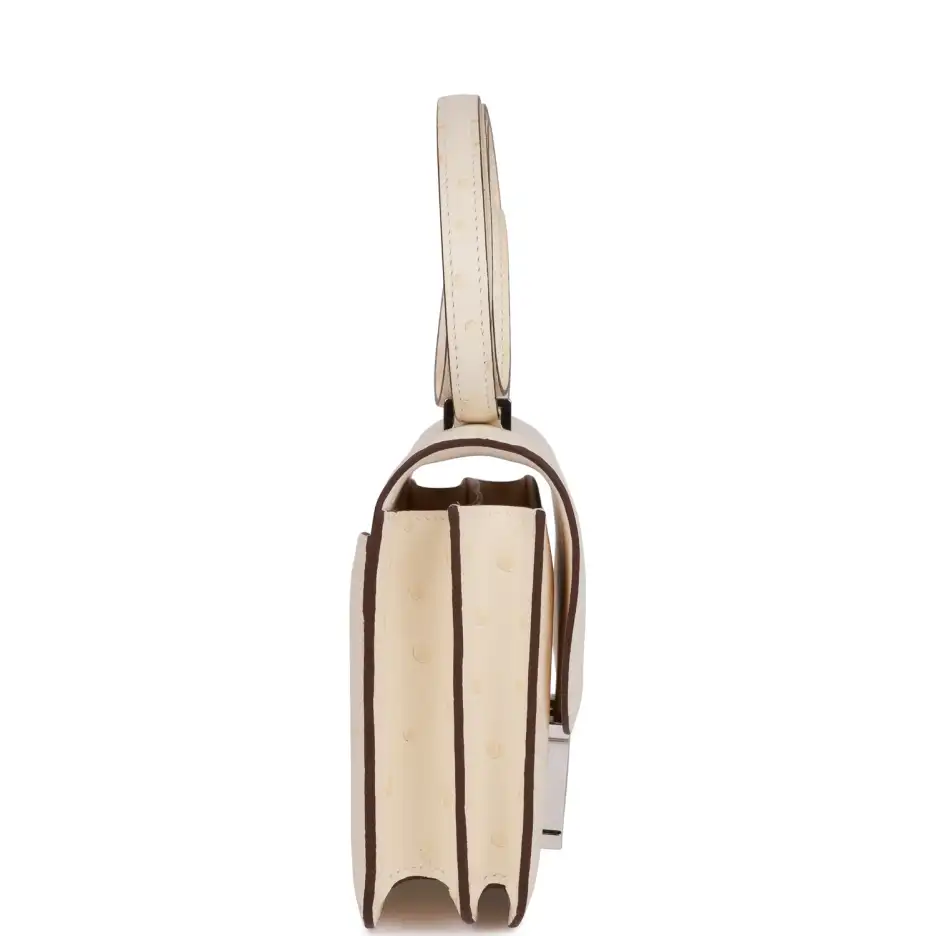 Hermès Constance 18 Nata Ostrich Palladium Hardware (2)