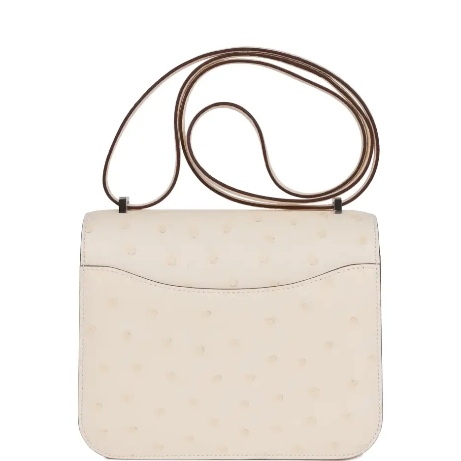 Hermès Constance 18 Nata Ostrich Palladium Hardware (3)