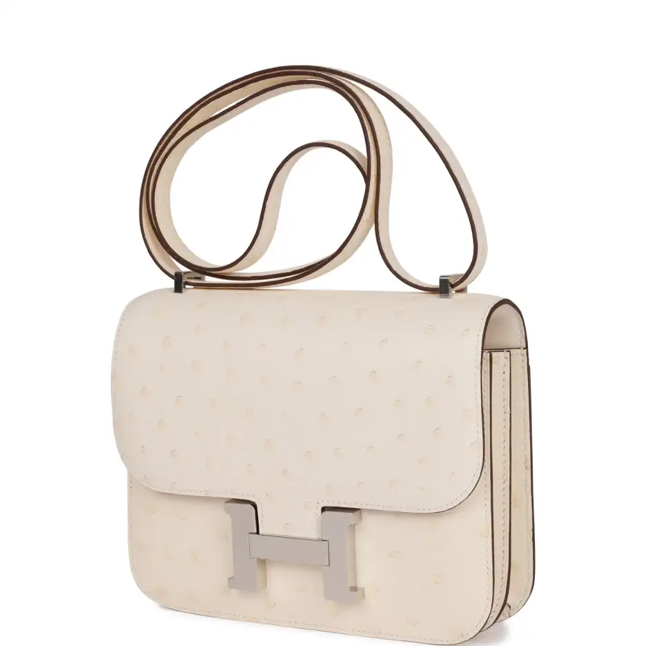 Hermès Constance 18 Nata Ostrich Palladium Hardware (4)