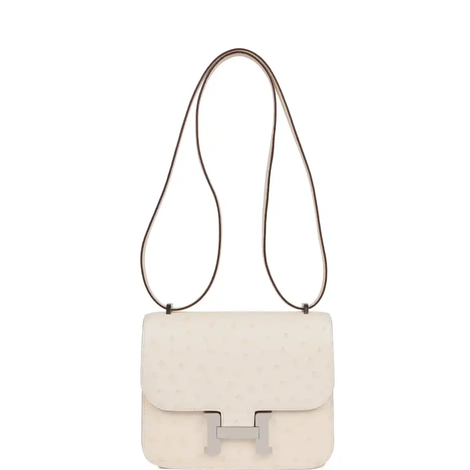 Hermès Constance 18 Nata Ostrich Palladium Hardware (6)